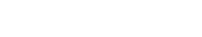 WiseConvey Logo